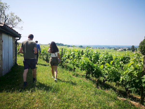 Ophorus Tours - Bordeaux to Saint-Émilion & Margaux Small Group Wine Tour