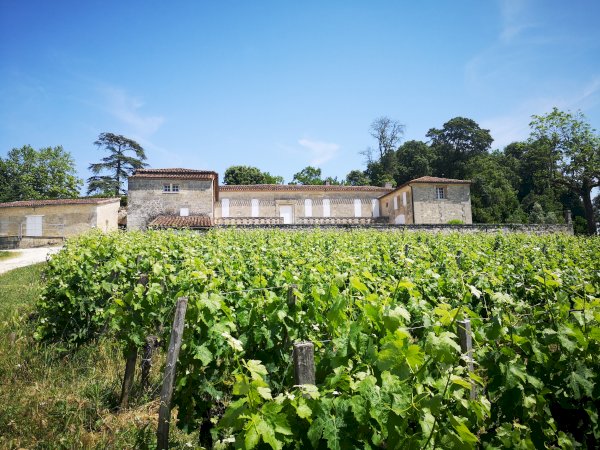 Ophorus Tours - Bordeaux to Saint-Émilion & Margaux Small Group Wine Tour