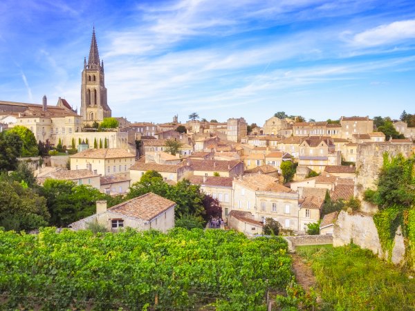 Ophorus Tours - Bordeaux to Saint-Émilion & Margaux Small Group Wine Tour