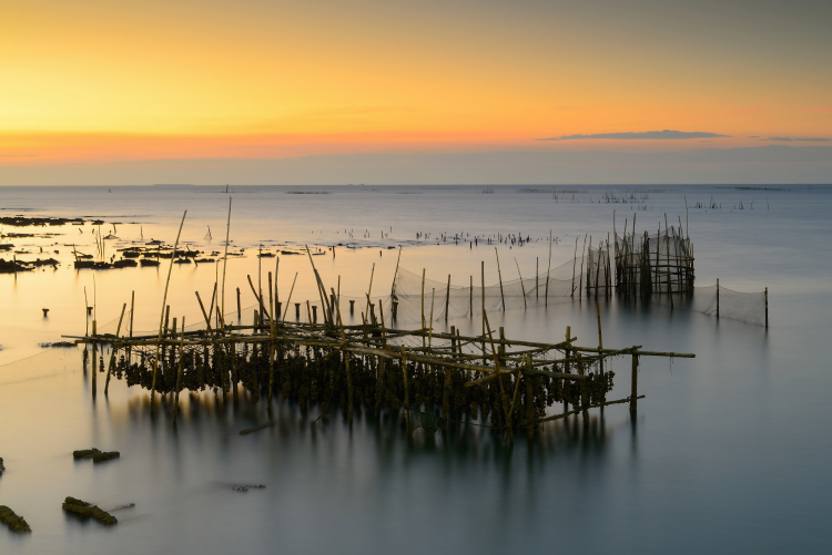 Ophorus Tours - Arcachon & Dune du Pilat Small Group Tour from Bordeaux