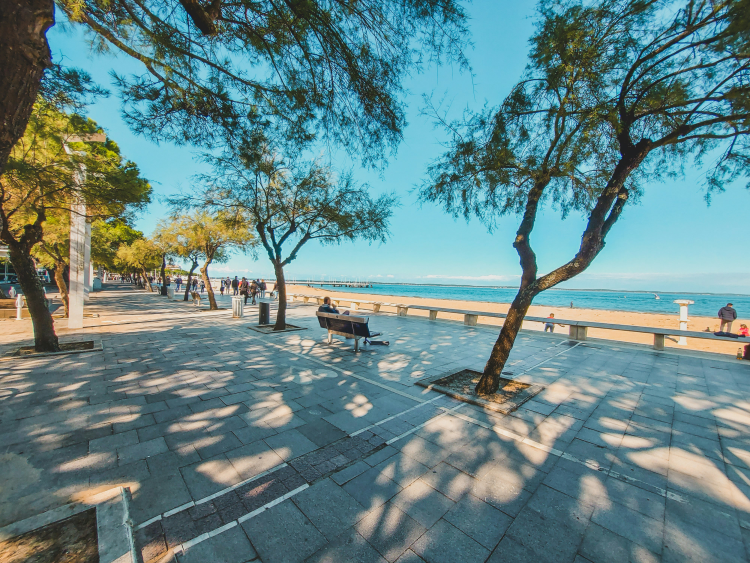 Ophorus Tours - Arcachon Bay & Dune du Pilat Day Trip from Bordeaux Small Group Tour