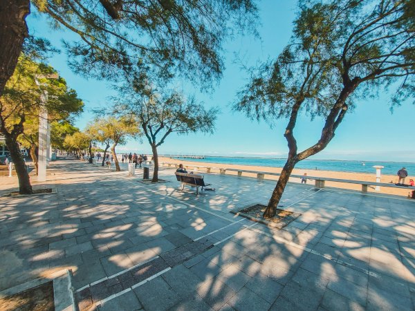 Ophorus Tours - Arcachon & Dune du Pilat Day Trip from Bordeaux Small Group Tour