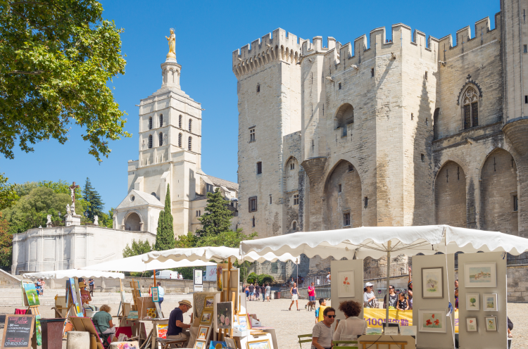 Ophorus Tours - Private Day Trip to Avignon Shore Excursion from Marseille