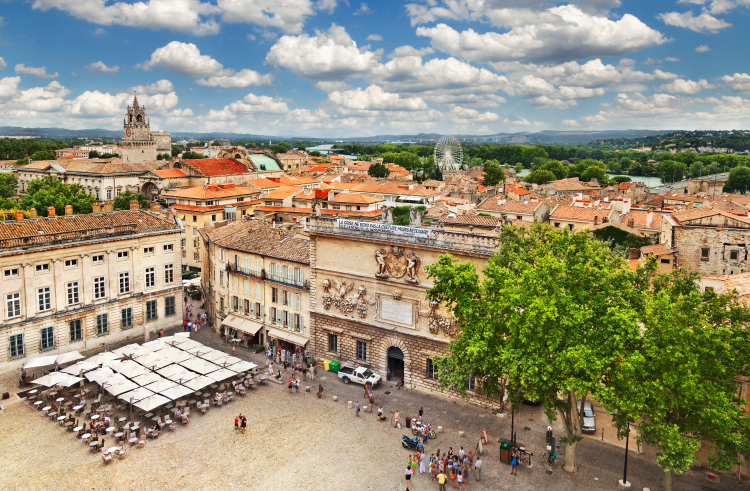 Ophorus Tours - Private Day Trip to Avignon Shore Excursion from Marseille