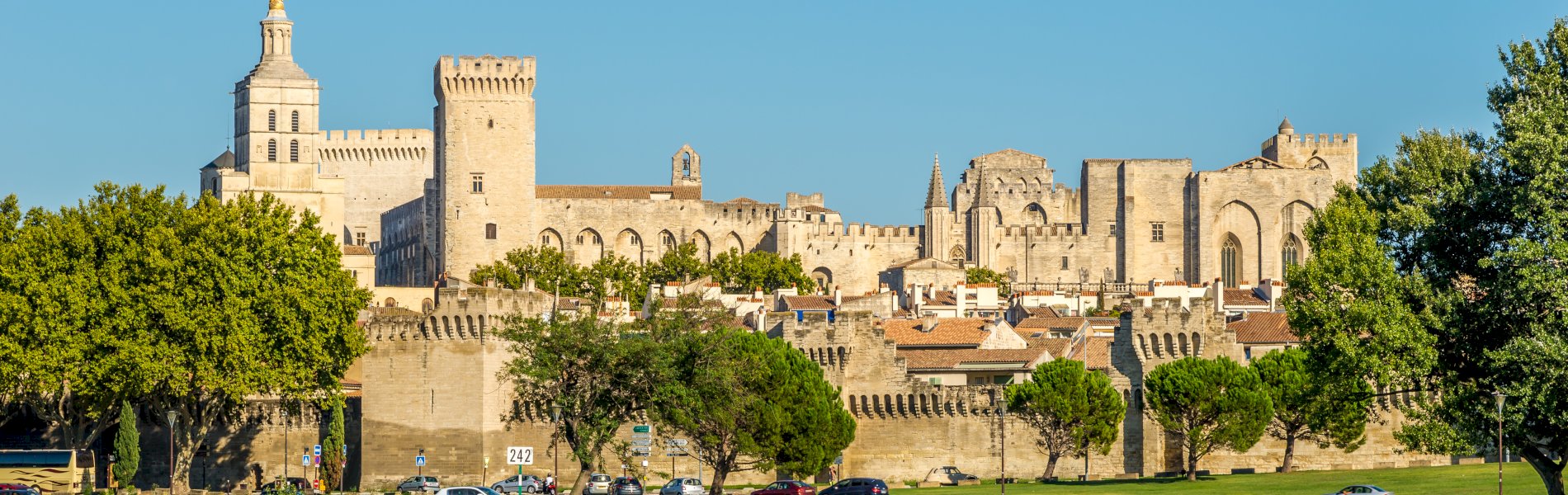 Ophorus Tours - Private Day Trip to Avignon Shore Excursion from Marseille