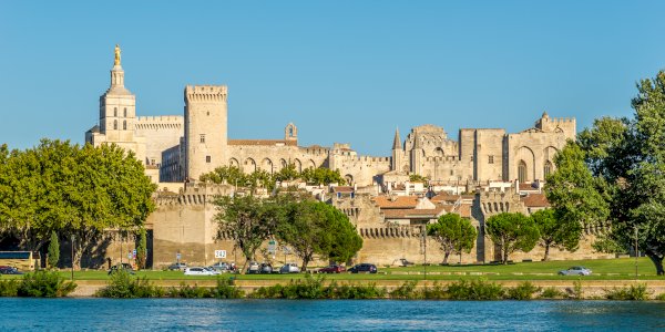 Ophorus Tours - Private Day Trip to Avignon Shore Excursion from Marseille