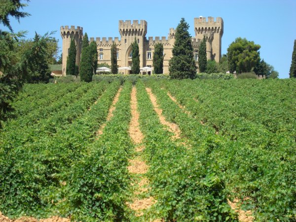 Ophorus Tours - Private Tour to Avignon & Châteauneuf-du-Pape from Marseille