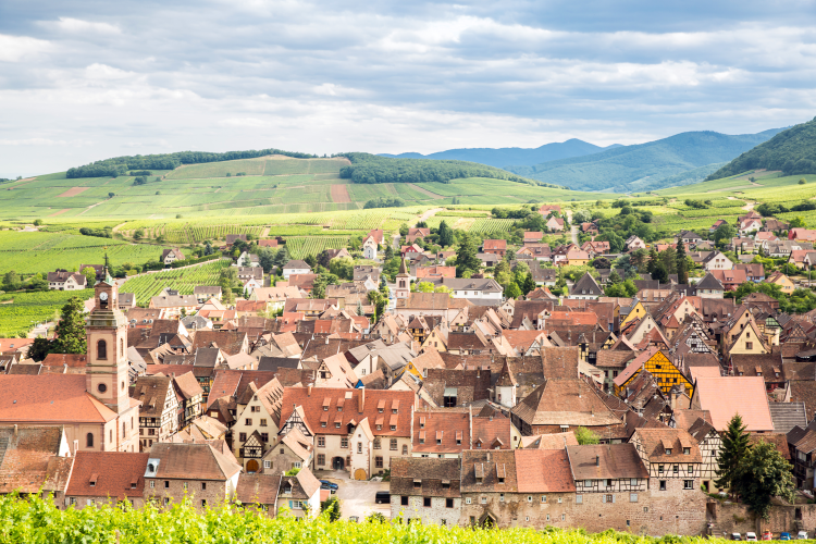 Ophorus Tours - Alsace Vineyards Wine Tasting Tour from Strasbourg
