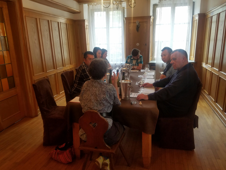 Ophorus Tours - Alsace Vineyards Wine Tasting Tour from Strasbourg