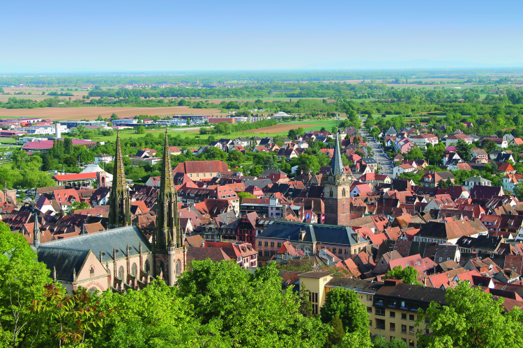 Ophorus Tours - Alsace Vineyards Wine Tasting Tour from Strasbourg