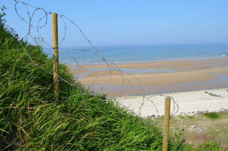 Ophorus Tours - Discover Normandy’s D-Day History on a Small Group Tour from Bayeux