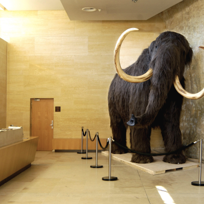 National Prehistory Museum visit