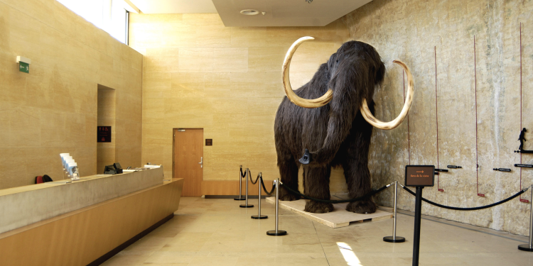 Ophorus Tours - Unveiling Prehistoric Art: Visit Prehistory Museum & Lascaux IV Center Private Tour