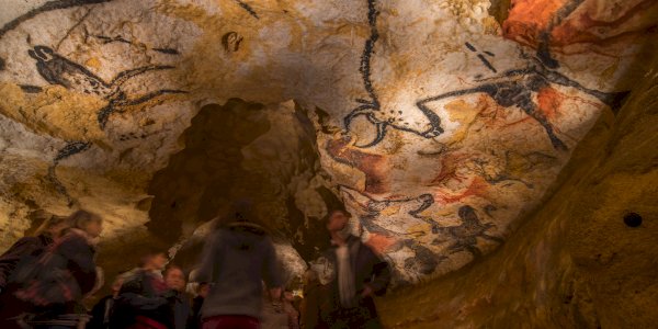 Ophorus Tours - Unveiling Prehistoric Art: Visit Prehistory Museum & Lascaux IV Center Private Tour