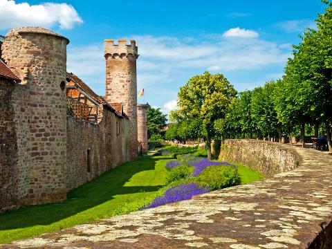 Ophorus Tours - Alsace Wine Discovery Half-Day Vineyard Tour from Strasbourg