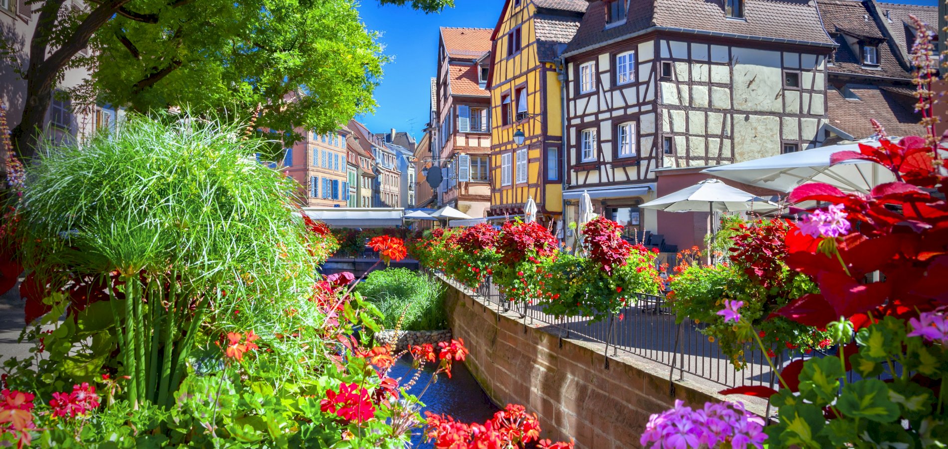 Ophorus Tours - Alsace Day Tour: From Strasbourg to Colmar, Riquewihr & Haut Koenigsbourg Castle