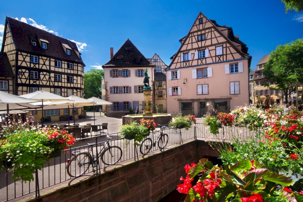 Ophorus Tours - Alsace Private Day Tour: Colmar, Riquewihr & Haut-Koenigsbourg Castle