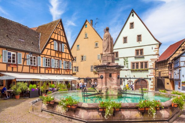 Ophorus Tours - Alsace Private Day Tour: Colmar, Riquewihr & Haut-Koenigsbourg Castle