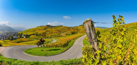 Ophorus Tours - Exclusive Alsace Villages & Wine Private Tour from Strasbourg