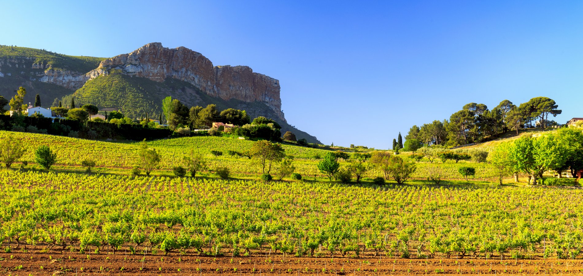 Ophorus Tours - From Aix en Provence Private Provence Wine Tour 