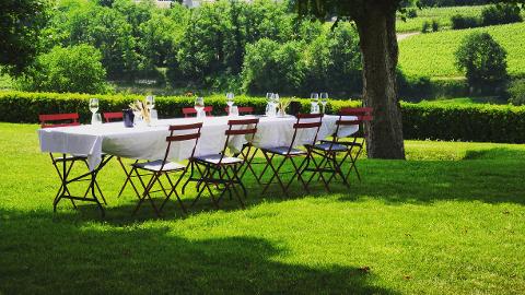 Ophorus Tours - Saint Emilion Odyssey Full-Day Bordeaux Wine Tour