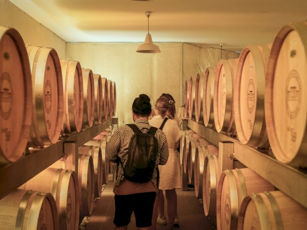 Ophorus Tours - Saint Emilion Odyssey Full Day Bordeaux Wine Tour