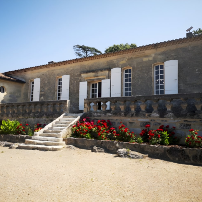 Grand Cru château visit & tasting
