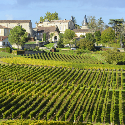 Grand Cru château visit & tasting