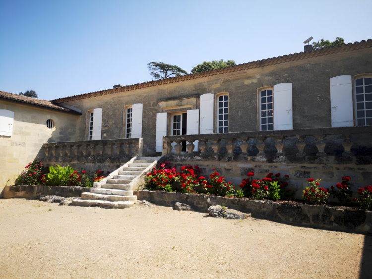 Ophorus Tours - Saint-Émilion Half-Day Village & Wine Tour from Bordeaux