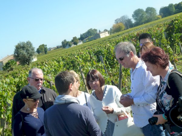 Ophorus Tours - Saint Emilion Wine Discovery half-day Bordeaux Vineyard Tour