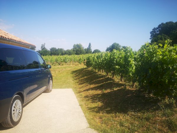 Ophorus Tours - Saint Emilion Wine Discovery half-day Bordeaux Vineyard Tour