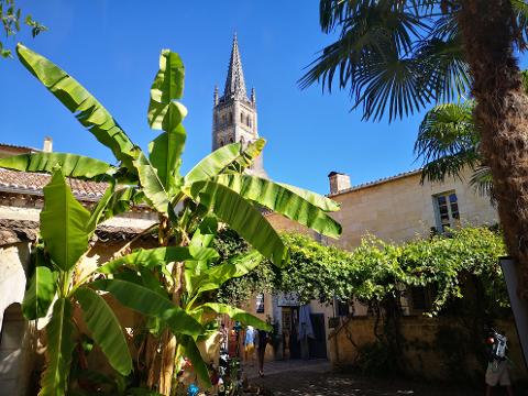Ophorus Tours - Saint-Émilion Wine Discovery – Half-Day Tour from Bordeaux