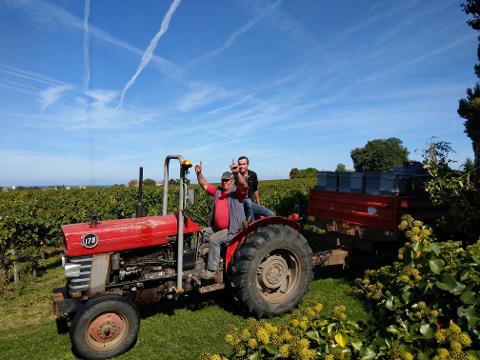 Ophorus Tours - Saint-Émilion Wine Discovery – Half-Day Tour from Bordeaux