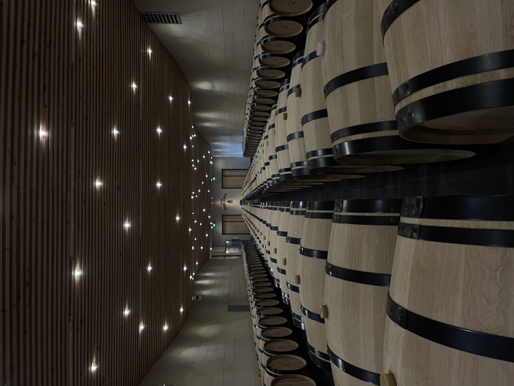 Ophorus Tours - Saint Emilion Wine Discovery half-day morning Bordeaux Vineyard Tour