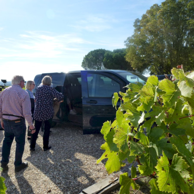 Winery