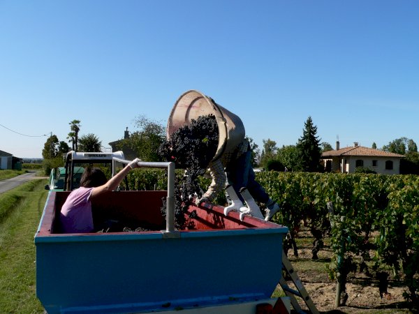 Ophorus Tours - Indulge in Saint-Emilion's Finest: Full-Day Shore Excursion & Wine Tour 