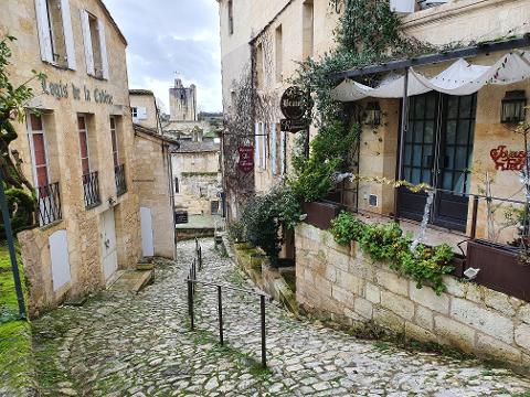 Ophorus Tours - Medieval Saint-Emilion: Private Walking Tour including Monuments