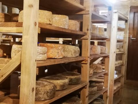 Ophorus Tours - Sarlat Market & Dordogne Culinary Tour : A Taste of Local Flavors