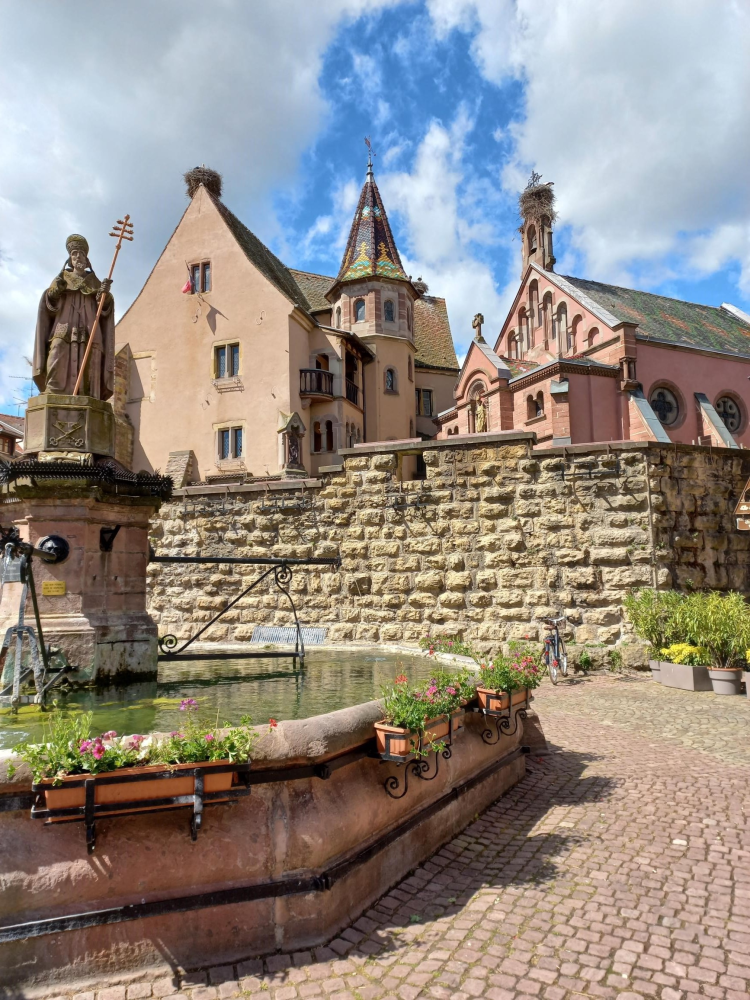 Ophorus Tours - Authentic Alsace Villages tour : A half-day Cultural Experience from Colmar