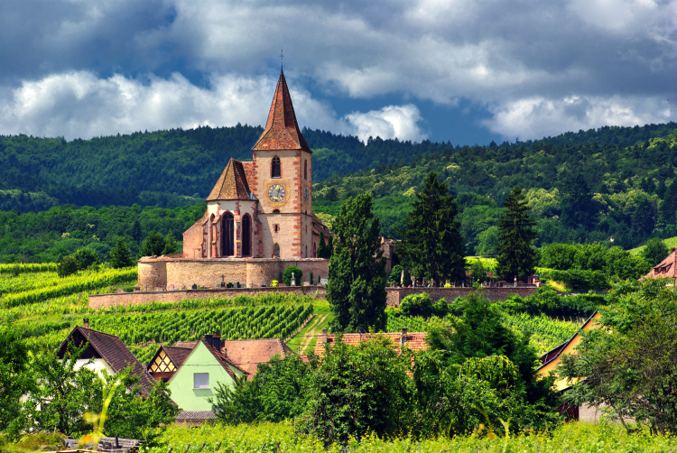 Ophorus Tours - Alsace Villages Small Group Half-Day Tour from Colmar