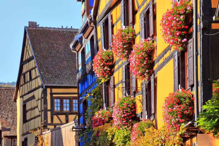 Ophorus Tours - Authentic Alsace Villages tour : A half-day Cultural Experience from Colmar