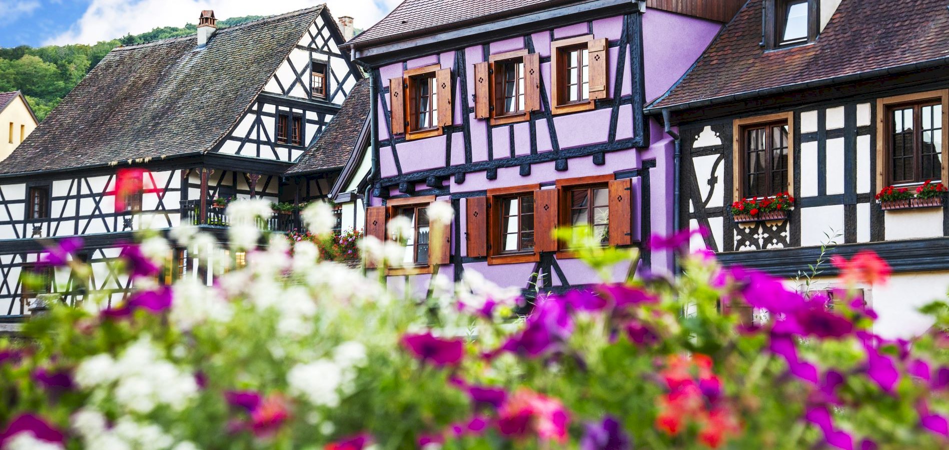 Ophorus Tours - A Half Day Trip From Colmar to Authentic Alsace Villages 