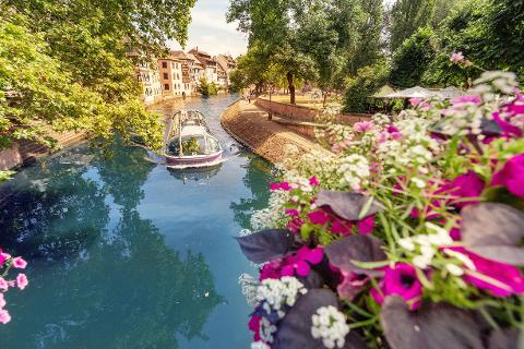 Ophorus Tours - Petite France & Cathedral: Private Walking Tour of Strasbourg