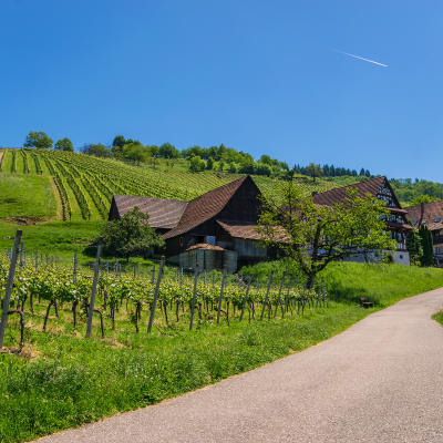 First winery visit and tasting