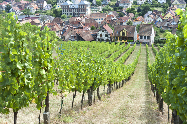 Ophorus Tours - Enchanting Alsace villages Small Group Tour from Strasbourg
