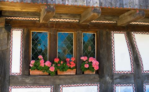 Ophorus Tours - Enchanting Alsace villages Small Group Tour from Strasbourg