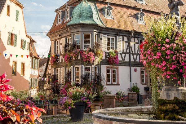 Ophorus Tours - From Strasbourg Alsace Villages half-day tour
