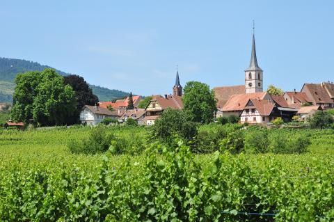 Ophorus Tours - Enchanting Alsace villages Small Group Tour from Strasbourg