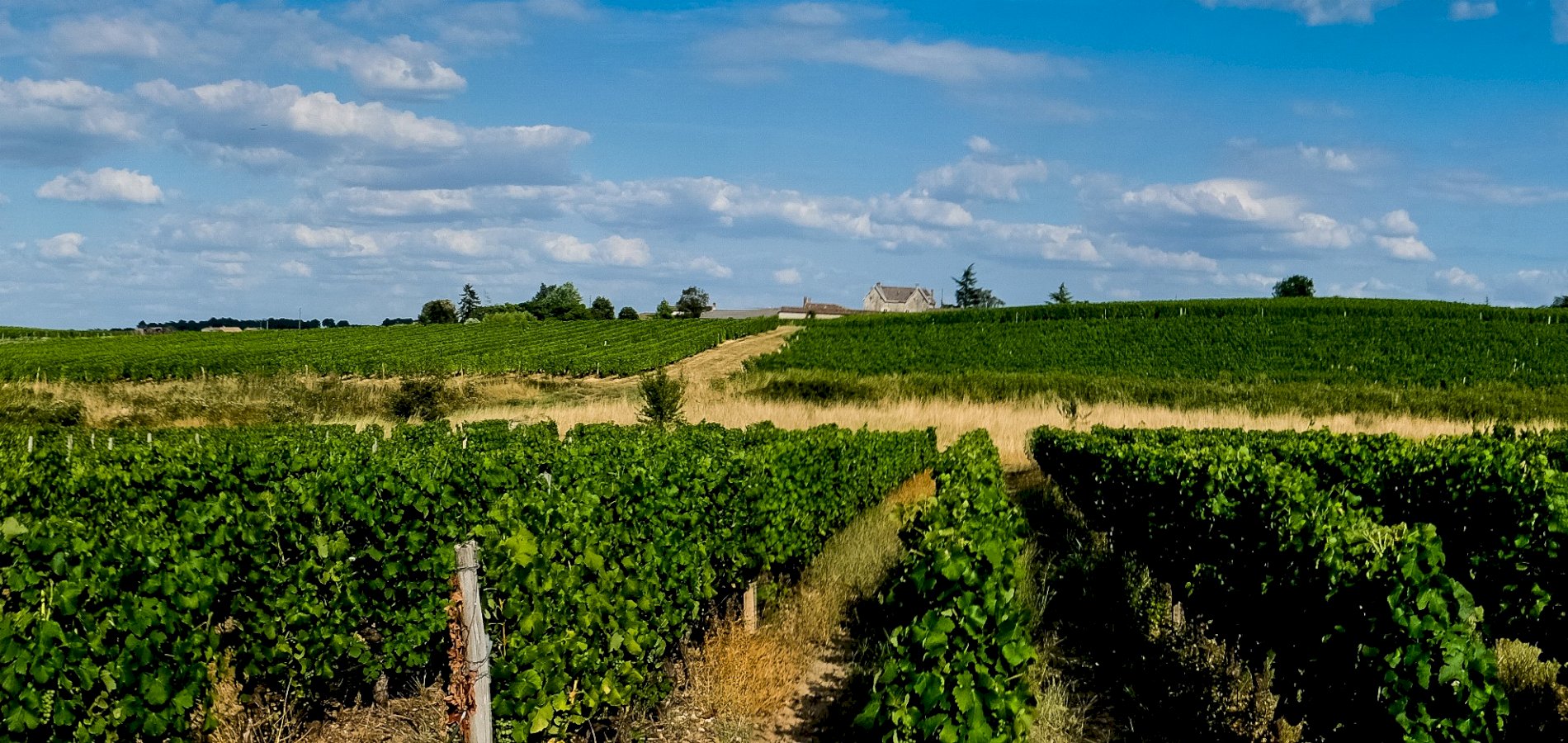 Ophorus Tours - 5 Days Private Grands Crus Bordeaux Wine Tours Package - 4* Hotel