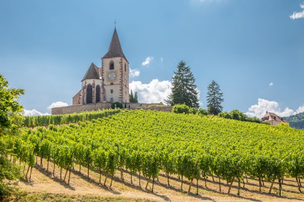 Ophorus Tours - Alsace Wine Tour Day Trip From Colmar